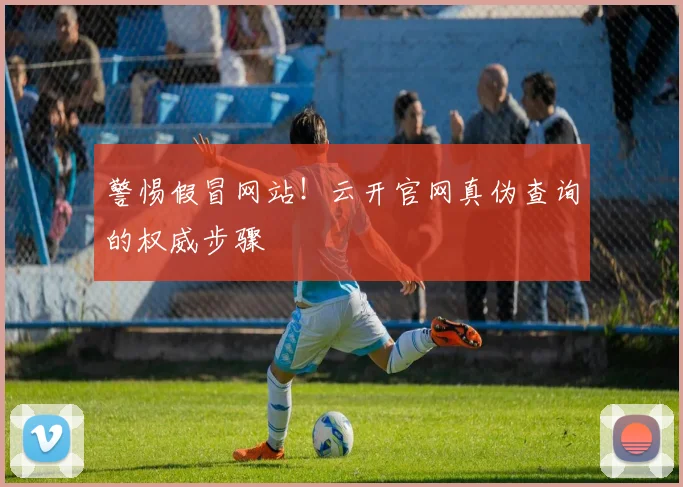 警惕假冒网站！云开官网真伪查询的权威步骤